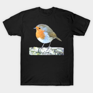 Curious Robin And Blue Sky T-Shirt